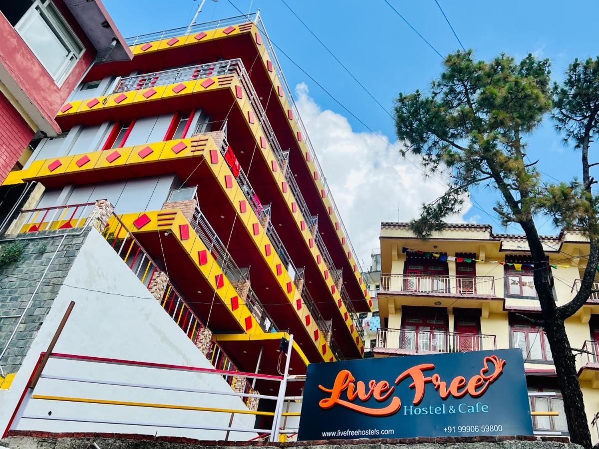 Live Free Hostel, Mcleodganj 맥그로드 간즈 외부 사진